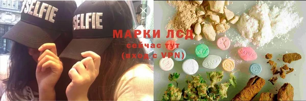 эйфоретик Бородино