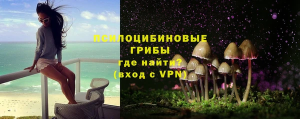 spice Сосновка