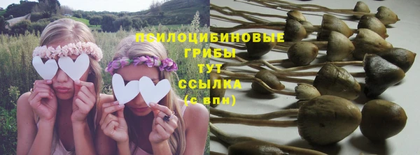 apvp Бугульма